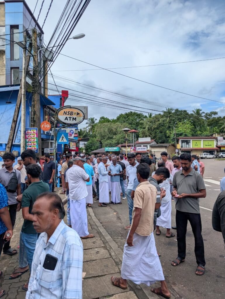 nivithigala market